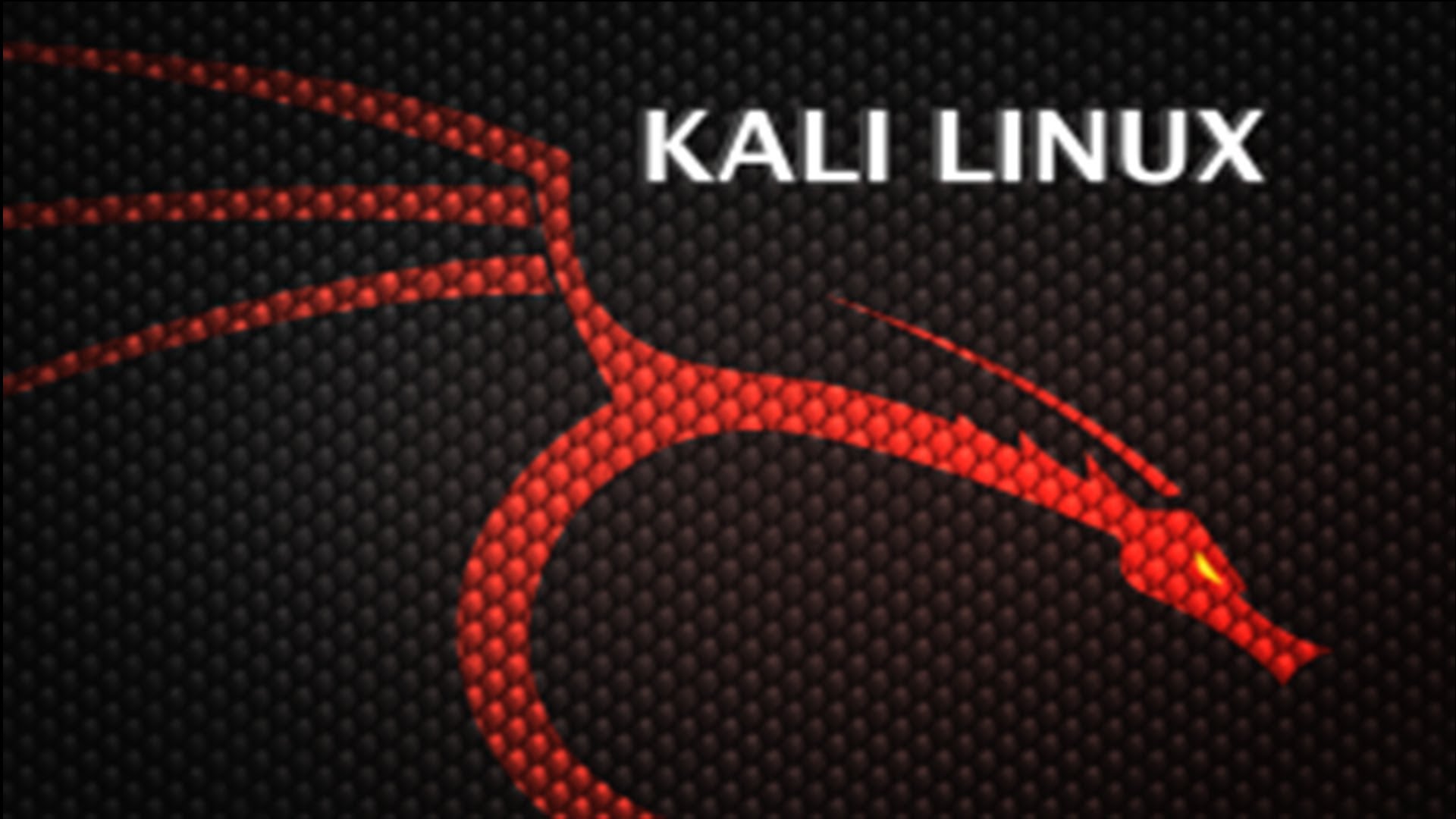 You are currently viewing Kali Linux